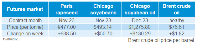 Oilseed futures prices table 19 06 2023